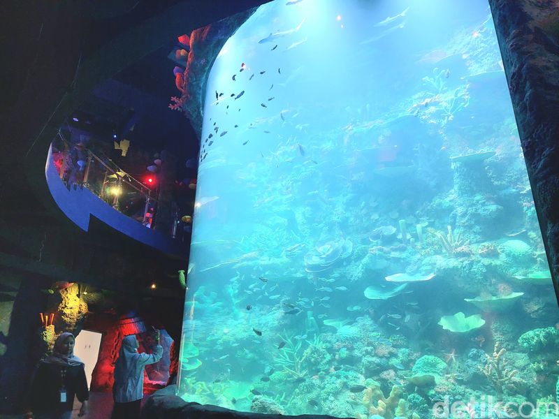Array,Wisata Family Friendly di Tangsel dan Tangerang untuk Long Weekend Seru