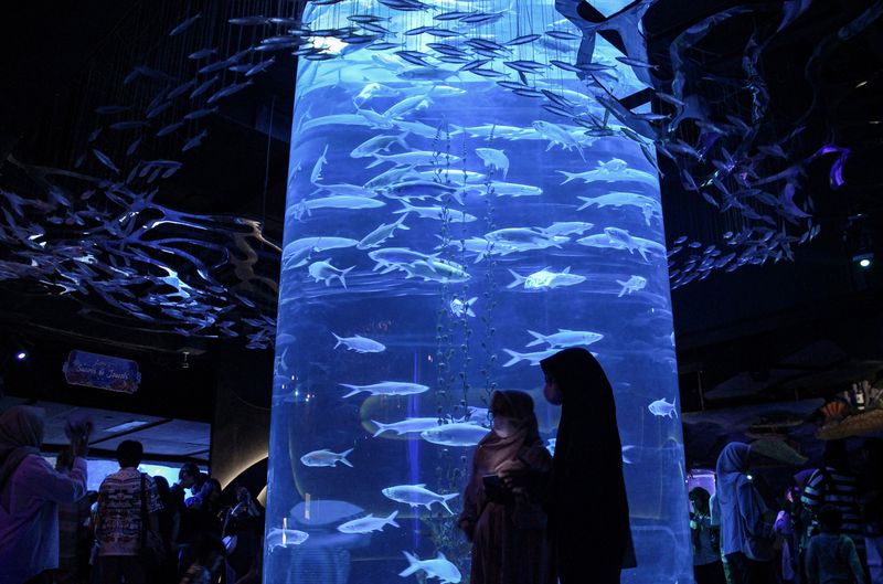 5 Tempat yang Dikenal Adem dan Sunyi, Cocok untuk Introvert, 1. Hutan Kota GBK, 2. Erasmus Huis, 3. Urban Forest Cipete, 4. Jakarta Aquarium, 5. Taman Ismail Marzuki