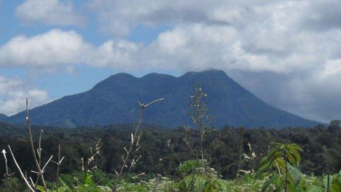 Array,Jambi Ternyata Punya Gunung Sumbing, Ini Penampakannya