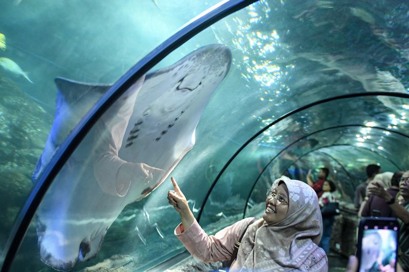 Array,4 Tempat Liburan Musim Kemarau & Musim Hujan Ramah Anak