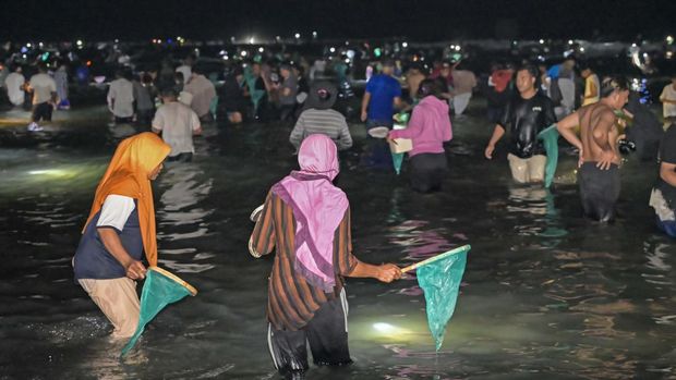Array,Bau Nyale Lombok dan Putri Mandalika, Tradisi Berburu Cacing Laut khas NTB