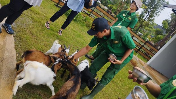 Main ke Tangsel Jangan Bingung, Ini 8 Spot Wisata Menarik yang Sayang Dilewatkan, 1. Taman Kota 2 BSD (Jaletreng Riverpark), 2. Kandank Jurank Doank, 3. Taman Wisata Situ Gintung, 4. Kampung Konservasi RIMBUN, 5. Trans Snow World Bintaro, 6. Broadway Alam Sutera, 7. Aviary Park Bintaro, 8. BXSea (Bintaro Jaya Xchange Oceanarium)
