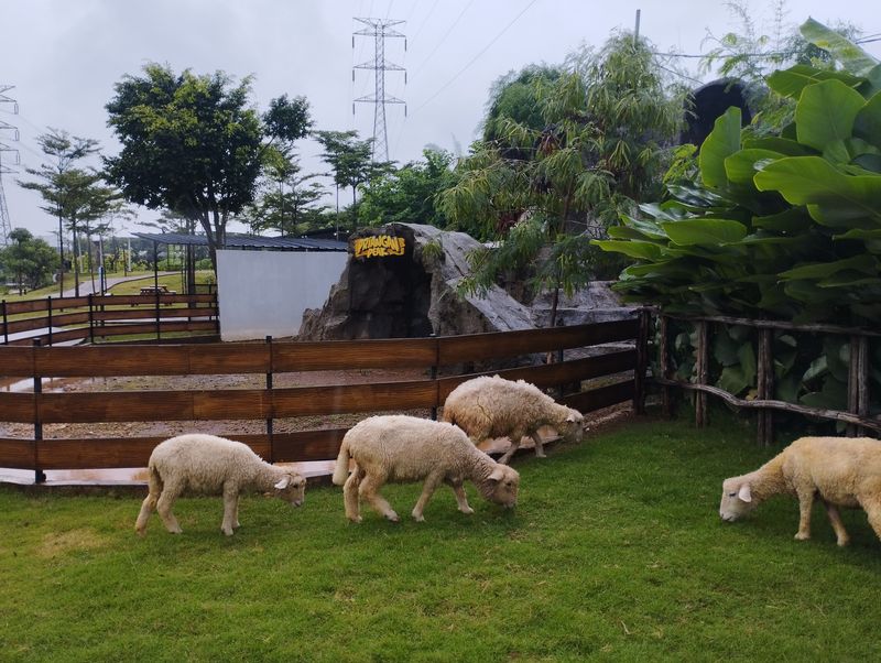 Array,Top 5+ Wisata Bernuansa Alam di Tangerang dan Tangerang Selatan, Mana Favoritmu?