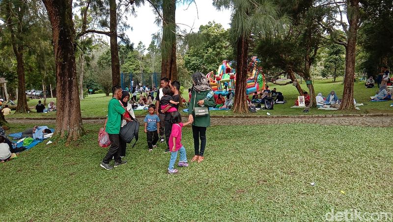 Healing Tipis di Pinggir Kota, Cuma Modal Rp 150 Ribu, 1. Kebun Raya Cibodas, 2. Waduk Cincin Papanggo, Jakarta Utara, 3. Hutan Kota Srengseng Sawah, 4. Taman Wisata Alam (TWA) Angke Kapuk