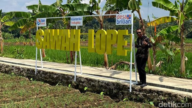 Sawah Lope Desa Cikaso, Nikmatnya Lihat Persawahan Sambil Ngebotram, 1. Terletak di dataran rendah, 2. Lope bukan plesetan love, 3. Bangkit usai COVID-19, 4. Sempat viral, 5. Dibangun tanpa investasi dari luar, 6. Punya keunggulan lain