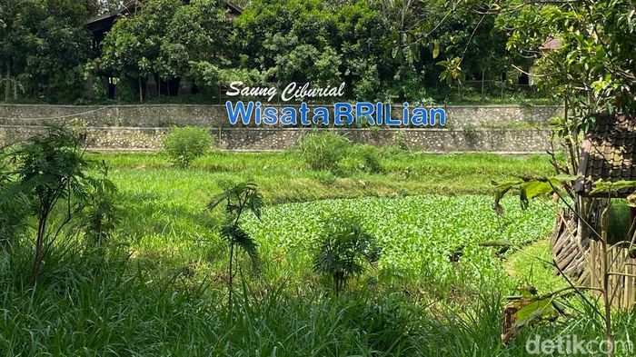 Array,Garut Punya Desa Wisata Juara: Saung Ciburial, Dulu Miskin, Kini Mendunia!
