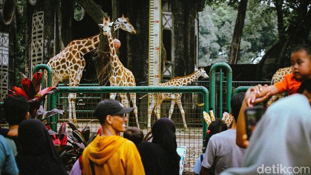 Rekomendasi Tempat Wisata di Jakarta untuk yang Nggak Mudik Lebaran 2025, 1. Ancol, 2. Taman Mini Indonesia Indah (TMII), 3. Taman Margasatwa Ragunan (Ragunan Zoo), 4. Kota Tua Jakarta, 5. Dunia Fantasi (Dufan)