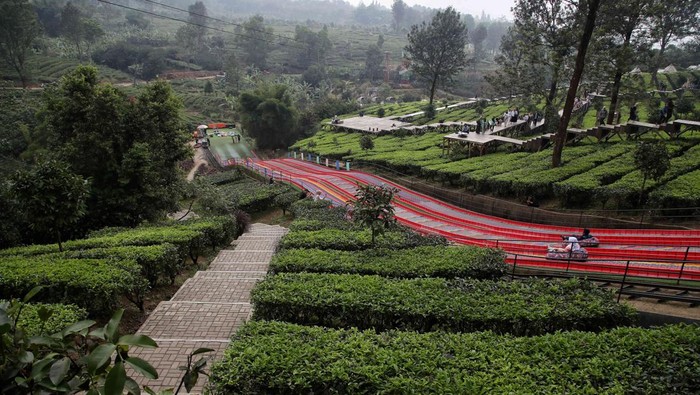 Array,Ini Penginapan Paling Dingin di Puncak Bogor, Suhu Bisa Turun!