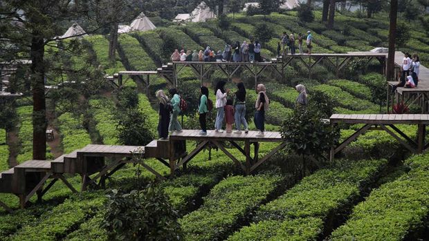 12 Camping Ground Terbaik 2025 di Bogor untuk Liburan Bareng Teman dan Keluarga, 1. Bumi Kepanduan Sentul, Bogor, 2. Agrowisata Gunung Mas, 3. Highland Camp Curug Panjang, 4. Camp Hulu Cai, 5. Gunung Pancar, Bogor, 6. Camp Gayatri Mountain Adventure, 7. Suaka Elang Loji, 8. Eagle Hill Outbound, 9. Lembah Salak Camping Ground, 10. Curug Cipamingkis, 11. Bukit Cirampak Camping Ground, 12. Kawah Ratu