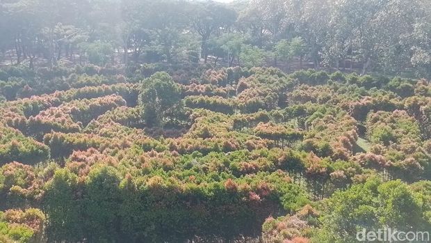7 Taman di Jakarta Utara, Tiket Masuk Gratis, 1. Taman Bintaro, 2. Taman Sarang Bangau, 3. Taman Sungai Kendal, 4. Taman Ondel-ondel, 5. Taman Hutan Kota Penjaringan, 6. Taman Gorontalo, 7. Taman Rawa Badak Utara