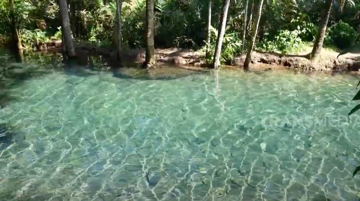 Array,Unik! Wisata Kali Odo Gedangan, Sungai yang Mengalir saat Kemarau