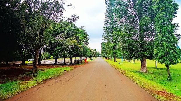 Liburan Keluarga di Cibubur, 8 Wisata Seru dan Instagramable, 1. Trans Studio Cibubur, 2. Taman Buah Mekarsari, 3. Taman Wiladatika Cibubur, 4. Bumi Perkemahan dan Graha Pramuka Cibubur, 5. Telaga Arwana, 6. Funsplash Eldorado, 7. Kidzoona Safari Living World Kota Wisata, 8. Tempat wisata dan kuliner malam