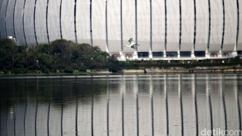 Healing Tipis di Pinggir Kota, Cuma Modal Rp 150 Ribu, 1. Kebun Raya Cibodas, 2. Waduk Cincin Papanggo, Jakarta Utara, 3. Hutan Kota Srengseng Sawah, 4. Taman Wisata Alam (TWA) Angke Kapuk