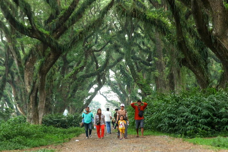 Array,Ide Destinasi Honeymoon Anti Mainstream Ala Gen Z: Banyuwangi