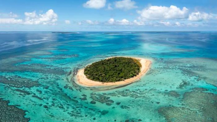 Top 9+ Tips Bertahan Hidup saat Terdampar di Pulau Tak Berpenghuni, 1. Tetap Tenang, 2. Bantu Orang Lain, 3. Kumpulkan Barang yang Tersisa, 4. Temukan Sumber Air Tawar, 5. Bangun Tempat Berteduh, 6. Buat Api Unggun, 7. Cari Bahan Makanan, 8. Buat Sinyal Bantuan, 9. Selalu Berpikir Positif