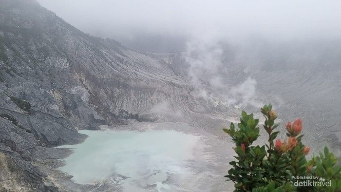 5 Wisata Alam di Jawa Barat yang Bisa Didatangi Pulang Pergi dari Jakarta, 1. Kawasan Kawah Putih, 2. Tangkuban Perahu, 3. Curug Cilember, 4. Kebun Raya Bogor, 5. Taman Safari Indonesia (TSI)
