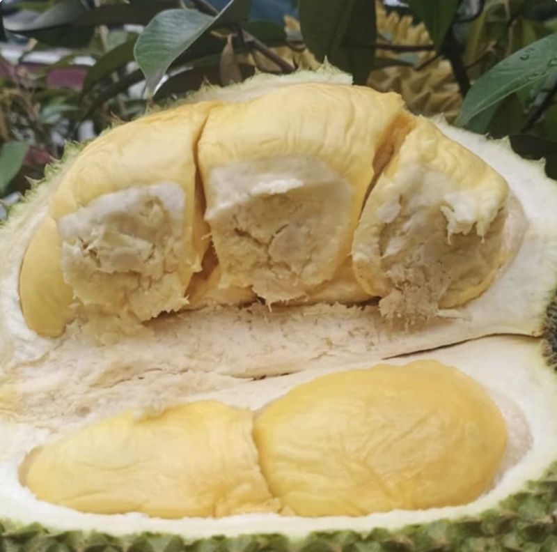 Array,Ternyata Begini Efek Konsumsi Durian untuk Kesehatan Hati