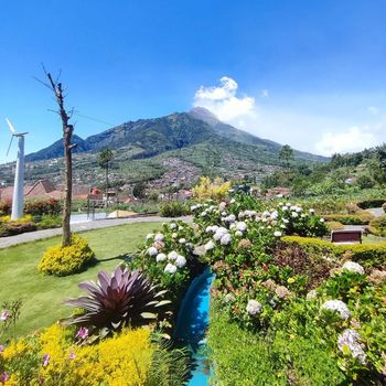10 Wisata Hits di Boyolali, Bisa Berenang hingga Naik Wahana Seru!, 1. Cepogo Cheese Park, 2. Merapi Garden Selo, 3. Waduk Cengklik Park, 4. New Selo, 5. Wisata Alam Panorama, 6. Desa Wisata Samiran, 7. Wisata Kali Talang, 8. Simpang Paku Buwono VI, 9. Taman Air Tlatar, 10. Omah Kita Selo