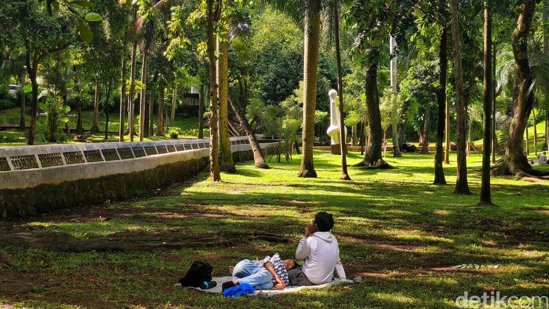 Healing Gratis? Ini 6 Taman Kota yang Bikin Nyaman Banget, Taman Ayodya, Taman Langsat, Taman Mataram, Taman Spathodea, Taman Tabebuya, Tebet Eco Park