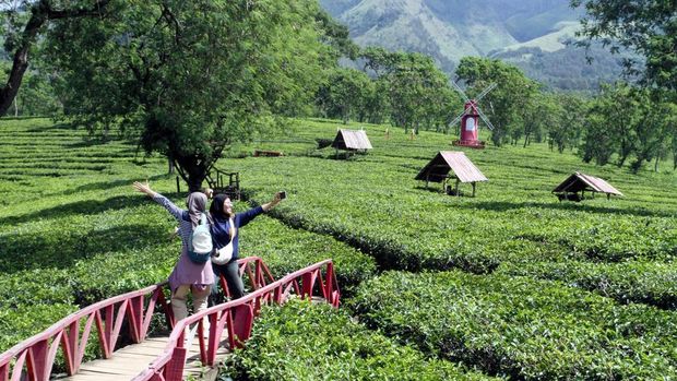5 Destinasi Wisata yang Sama Dinginnya dengan Kota Batu, 1. Malang di Jawa Timur, 2. Lembang, Jawa Barat, 3. Ciwidey dan Pangalengan, Jawa Barat, 4. Dieng, Jawa Tengah, 5. Tawangmangu, Jawa Tengah
