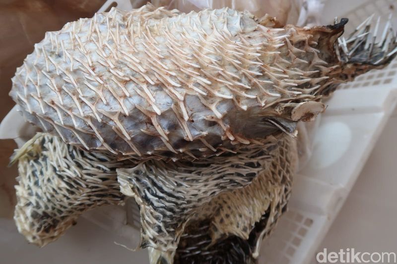 Array,Wisata Pulau Tidung, Idola di Hari Libur