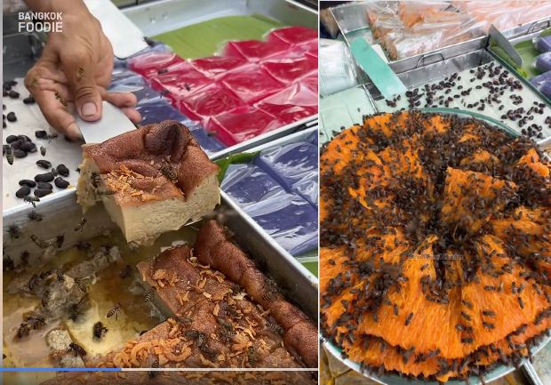 5 Penjual Makanan Kaki Lima Paling Absurd, Jualan Dikerubuti Lebah hingga Tikus,   1. Jualan Es Krim di Tengah Danau, 2. Penjual Makanan Semaunya, 3. Buat Roti Telur Bareng Tikus, 4. Kue Penuh Lebah, 5. Jualan Menu Aneh