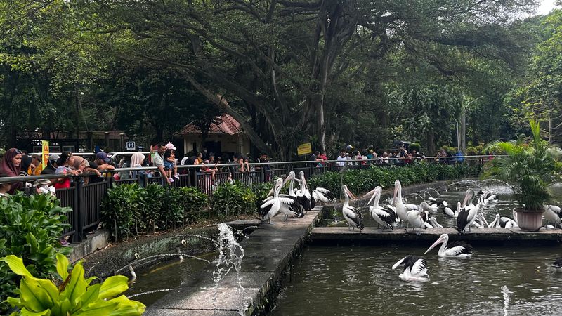 Top 10+ Pilihan Lokasi Liburan Long Weekend di Jakarta, 1. Monas, 2. Taman Mini Indonesia Indah (TMII), 3. Dunia Fantasi (Dufan), 4. Seaworld, 5. Taman Margasatwa Ragunan, 6. Museum Nasional Indonesia, 7. Kota Tua, 8. Museum MACAN, 9. Arena Masjid Istiqlal, 10. Katedral Santa Perawan Maria Diangkat ke Surga