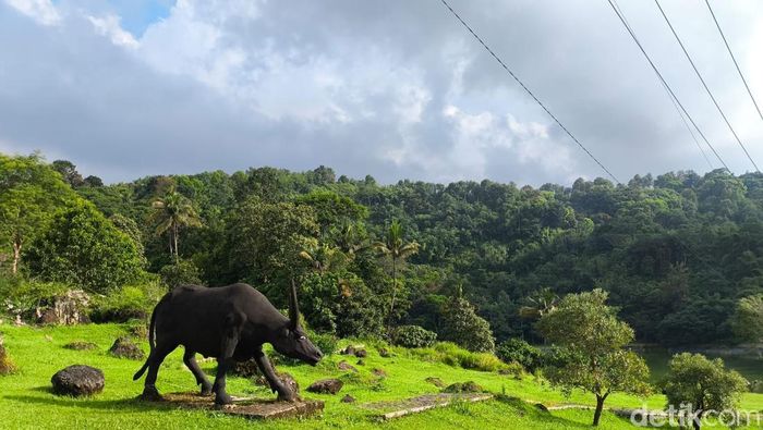 Array,Kebun Raya Kuningan, Permata Hijau di Jantung Rebana Metropolitan
