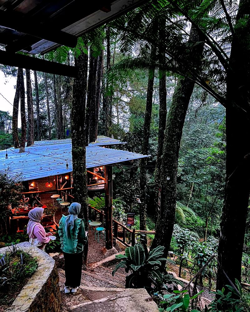 10 Tempat Makan dengan Panorama Sawah hingga Hutan Pinus di Puncak, 1. Kembali ke Alam Rimba, 2. Sawah Abah Coffee, 3. HeHa Waterfall, 4. Bumi Aki Heritage Puncak, 5. Kopi Klotok Cisarua, 6. Humaira Coffee, 7. Ngopi di Sawah, 8. Kopi Nako Kebon Jati, 9. Pasir Angin Pas, 10. The Lake House
