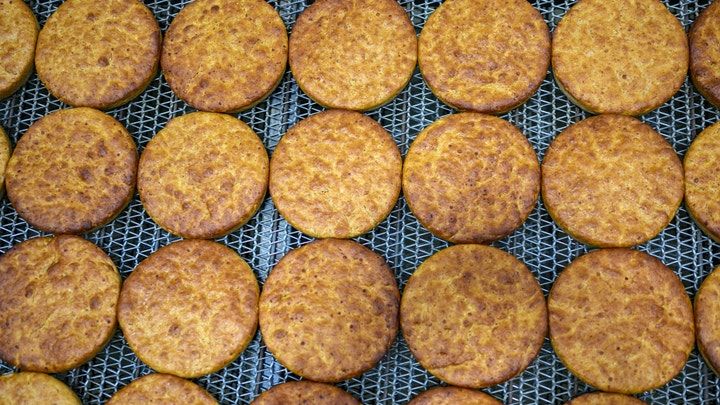Array,Wow! Roti Berusia 5.000 Tahun Ini Masih Awet di dalam Tanah