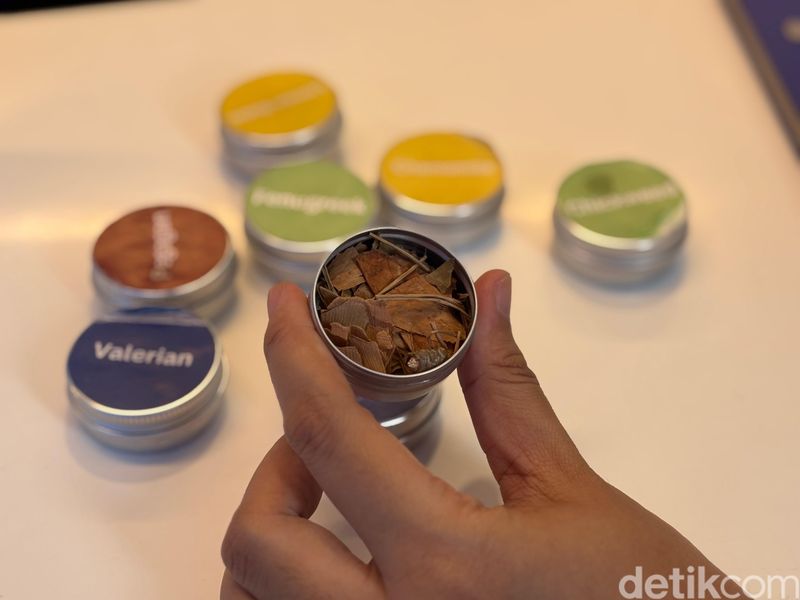Unik! 'Teh Bantu Tidur' Racik Minuman yang Bikin Tidur Nyenyak, 1. Teh picu rasa kantuk, 2. Teh membuat tenang, 3. Teh meningkatkan fokus, 4. Teh penekan nafsu makan, 5. Tersedia tea bag juga
