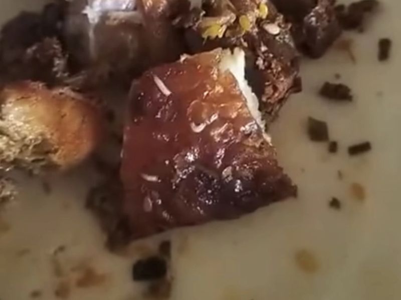 Array,Ngeri! Penampakan Belatung dalam Pesanan Babi Panggang