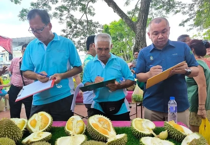 Array,Meriah! Festival Durian Ini Ajak 1.000 Orang Makan Sepuasnya