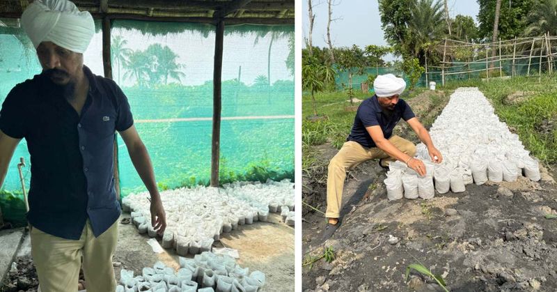 Array,Dokter Alih Profesi Jadi Petani Mangga, Kini Raup Untung Rp 1,6 Miliar