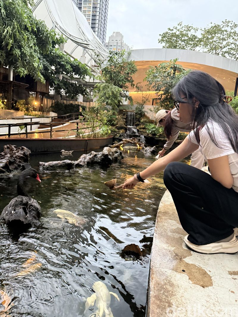 Array,Habitat Park SCBD, Taman Hewan di Tengah Gedung Pencakar Langit