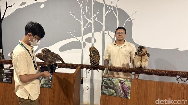 Array,Fakta-fakta Menarik Hewan di Habitat Park SCBD