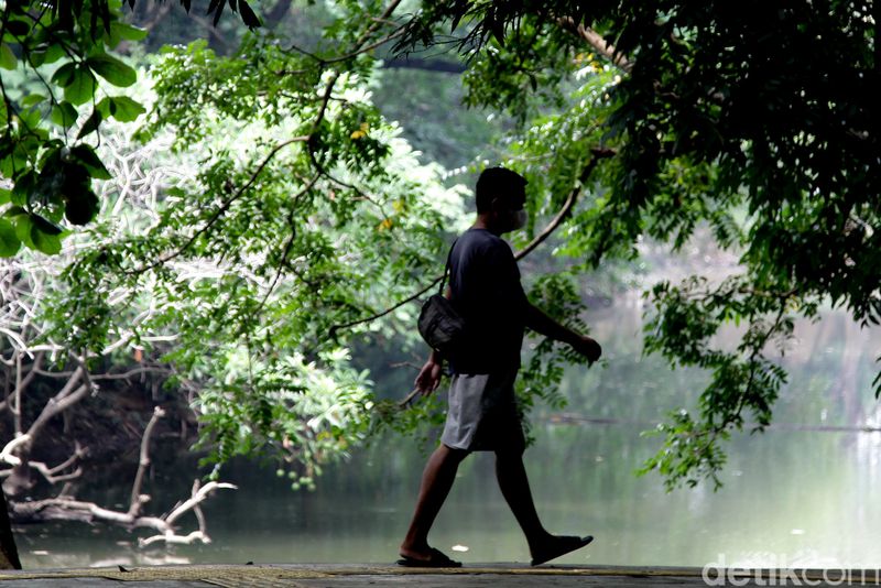 Array,Rekomendasi Liburan Dekat Jakarta tapi Adem Selain Puncak dan Lembang
