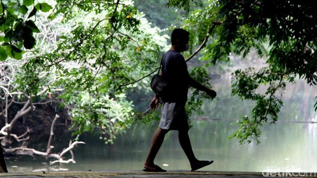 Array,Cari Tenang tapi Dekat: Spot Healing 1 Jam dari Kota Jakarta