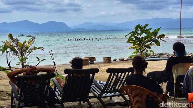 Array,Dulu Sarang Ular, Sekarang Surga Surfing di Sukabumi