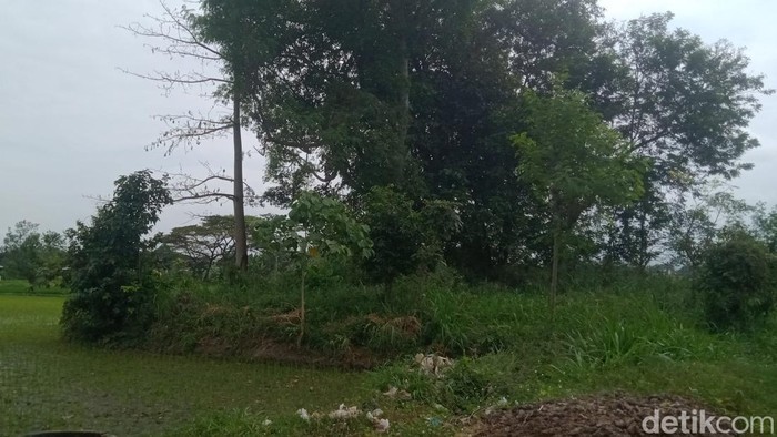 Array,Dulu Punya Banyak Arca, tapi Sekarang Gumuk Asu Tinggal Semak Belukar