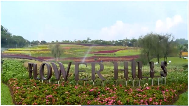 Healing di Tengah Kebun: Spot Hidden Gem di Bawah Rp 200 Ribu, 1. Museum di Tengah Kebun, 2. Agrowisata Tepas Papandayan (ATP), 3. Taman Bunga Vimala Hills Bogor, 4. Bukit Strawberry Lembang, 5. Kebun Teh Cianten
