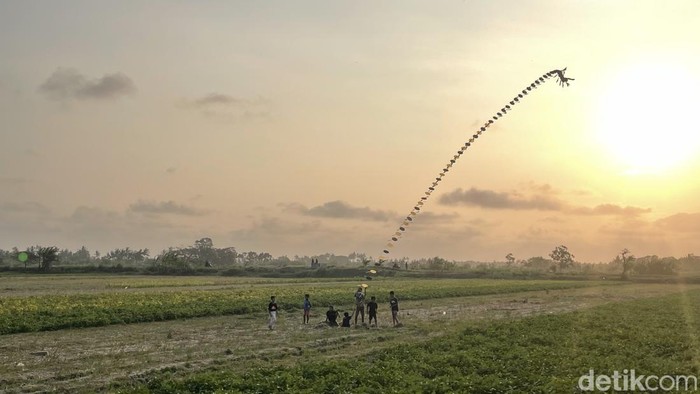 Array,Wisata Dadakan di Kulon Progo, Lihat Atraksi Layangan Naga
