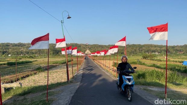 Array,Penampakan Sawah Seribu Bendera di Kulon Progo
