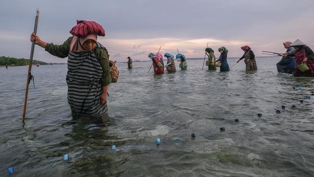 5 Taman Nasional di Daftar Warisan Dunia UNESCO dan ASEAN, 1. Taman Nasional Lorentz, Papua, 2. Taman Nasional Gunung Leuser, Aceh & Sumatera Utara, 3. Taman Nasional Baluran, Jawa Timur, 4. Taman Nasional Ujung Kulon, Banten, 5. Taman Nasional Wakatobi, Sulawesi Tenggara