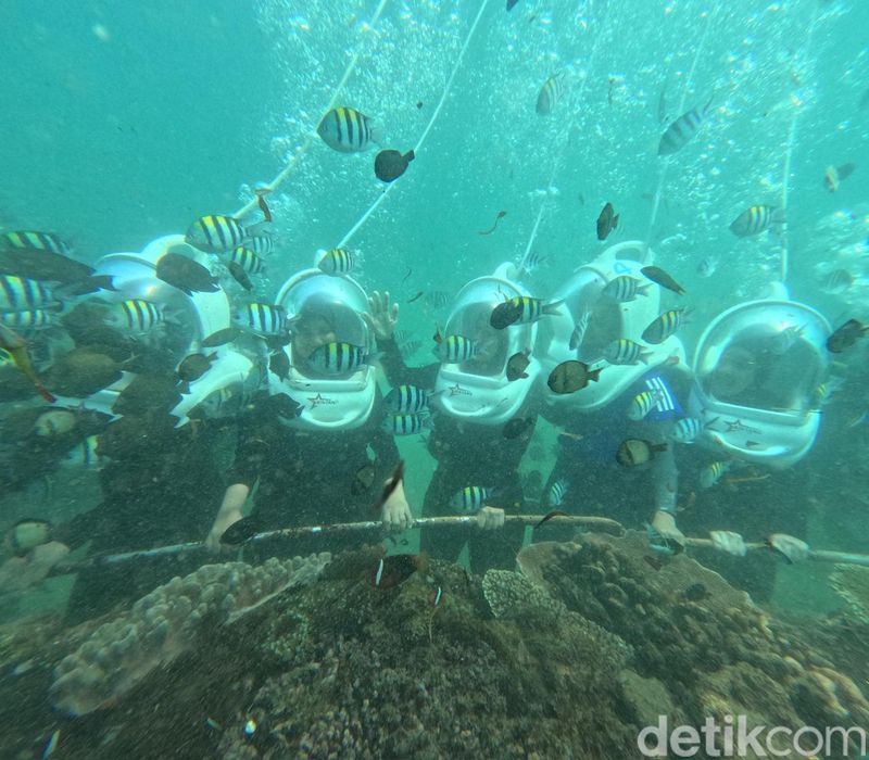 Array,Aktivitas Seru Sea Walking di Bali: Berjalan di Dasar Laut Tanpa Berenang
