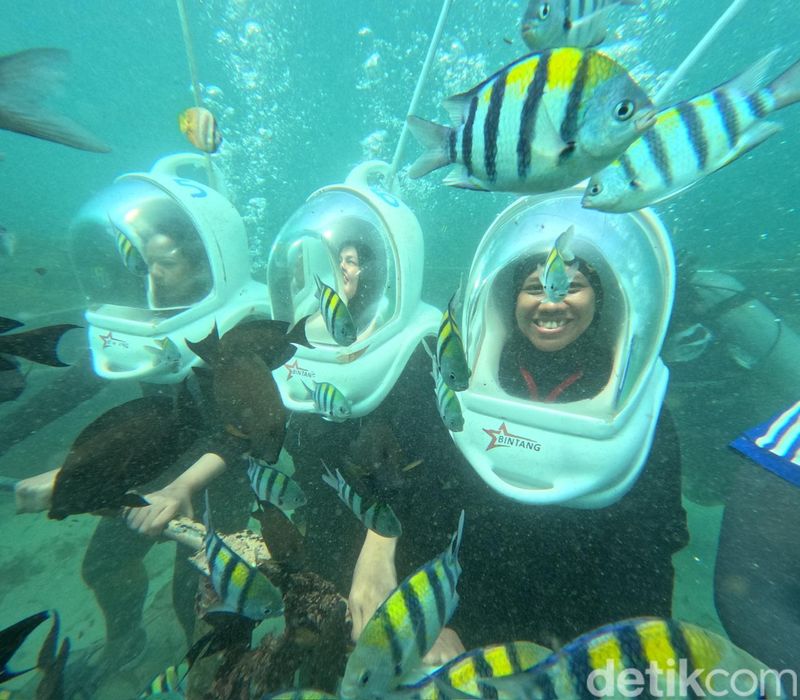 Array,Aktivitas Seru Sea Walking di Bali: Berjalan di Dasar Laut Tanpa Berenang