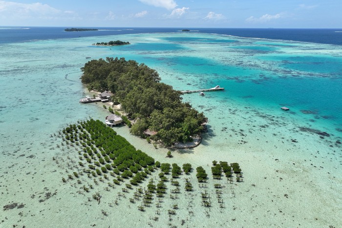 Array,Kepulauan Seribu, Surga Tropis Tak Terduga di Utara Jakarta