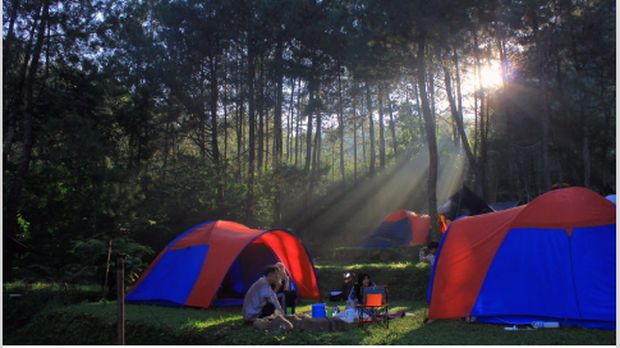 12 Camping Ground Terbaik 2025 di Bogor untuk Liburan Bareng Teman dan Keluarga, 1. Bumi Kepanduan Sentul, Bogor, 2. Agrowisata Gunung Mas, 3. Highland Camp Curug Panjang, 4. Camp Hulu Cai, 5. Gunung Pancar, Bogor, 6. Camp Gayatri Mountain Adventure, 7. Suaka Elang Loji, 8. Eagle Hill Outbound, 9. Lembah Salak Camping Ground, 10. Curug Cipamingkis, 11. Bukit Cirampak Camping Ground, 12. Kawah Ratu