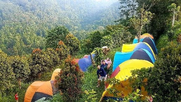 12 Camping Ground Terbaik 2025 di Bogor untuk Liburan Bareng Teman dan Keluarga, 1. Bumi Kepanduan Sentul, Bogor, 2. Agrowisata Gunung Mas, 3. Highland Camp Curug Panjang, 4. Camp Hulu Cai, 5. Gunung Pancar, Bogor, 6. Camp Gayatri Mountain Adventure, 7. Suaka Elang Loji, 8. Eagle Hill Outbound, 9. Lembah Salak Camping Ground, 10. Curug Cipamingkis, 11. Bukit Cirampak Camping Ground, 12. Kawah Ratu