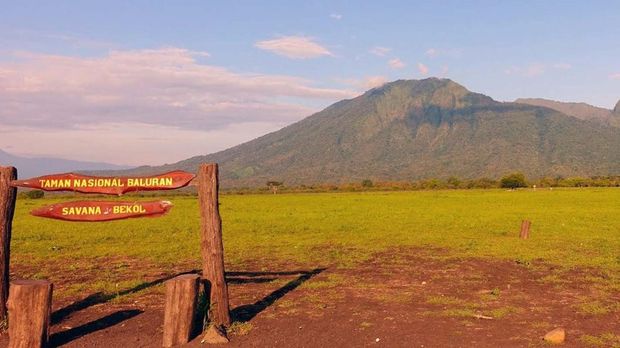 5 Taman Nasional di Daftar Warisan Dunia UNESCO dan ASEAN, 1. Taman Nasional Lorentz, Papua, 2. Taman Nasional Gunung Leuser, Aceh & Sumatera Utara, 3. Taman Nasional Baluran, Jawa Timur, 4. Taman Nasional Ujung Kulon, Banten, 5. Taman Nasional Wakatobi, Sulawesi Tenggara